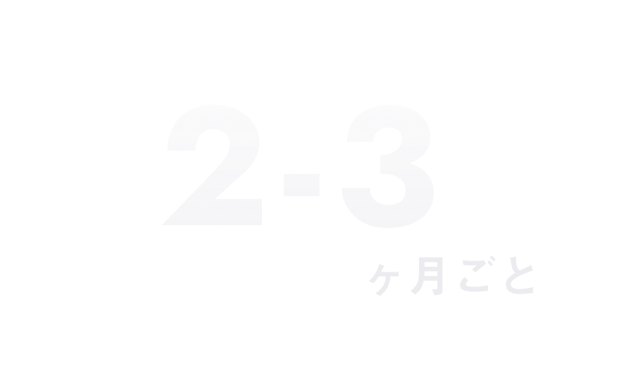 2～3ヶ月ごと